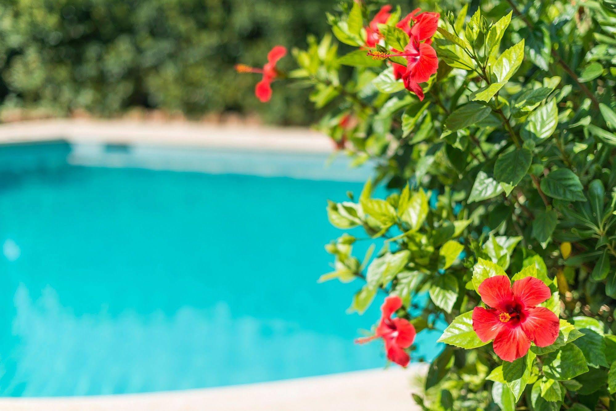Hostal Casa Bauza Cala Ratjada  Eksteriør bilde